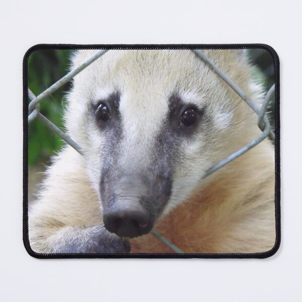 Item preview, Coati designed and sold by CallumHoare.