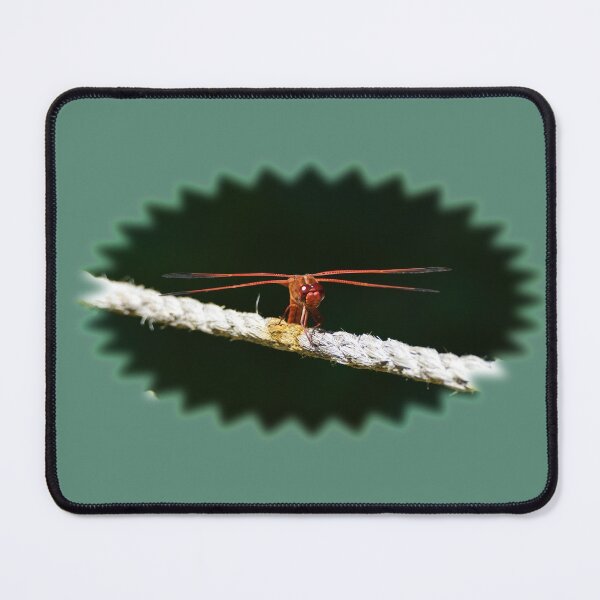 Item preview, on the ropes designed and sold by grizzbass.