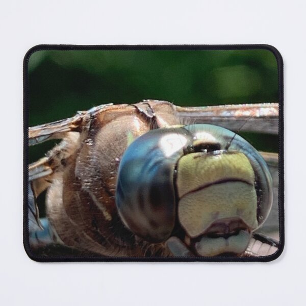 Item preview, Dragonfly designed and sold by Jcholach.
