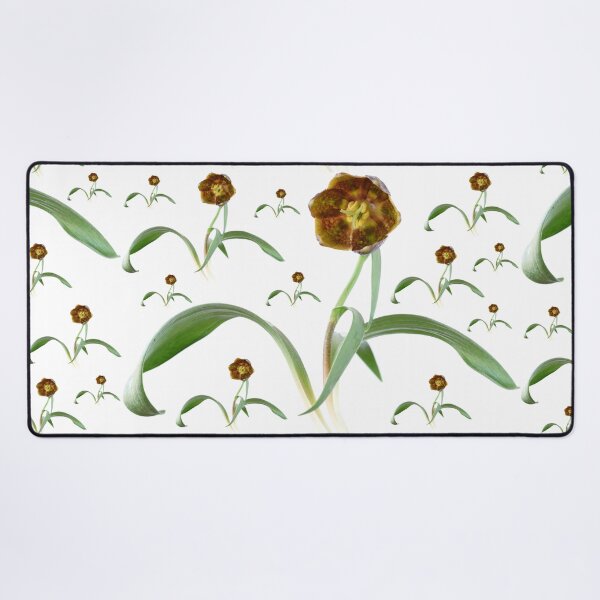 Item preview, Fritillaria davisii Davis fritillary designed and sold by Chris Burrows.
