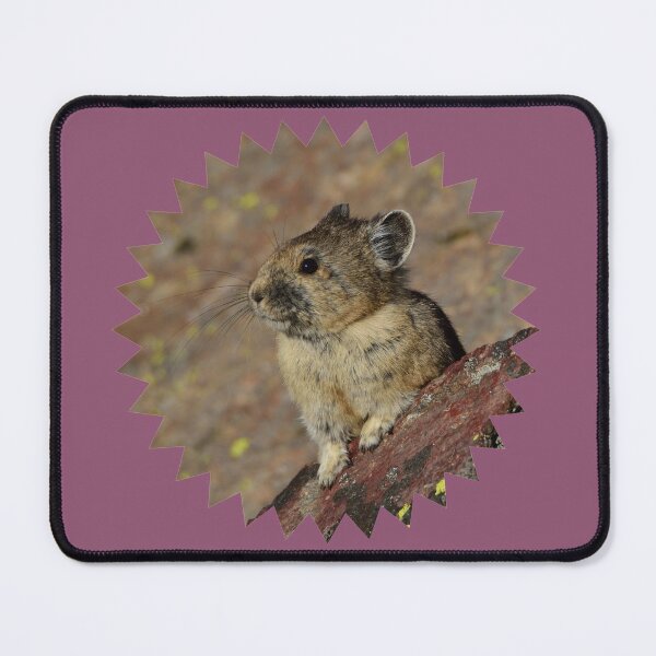 Item preview, Pika on a rock designed and sold by grizzbass.