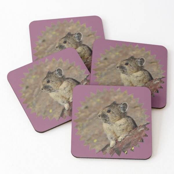 Item preview, Pika on a rock designed and sold by grizzbass.
