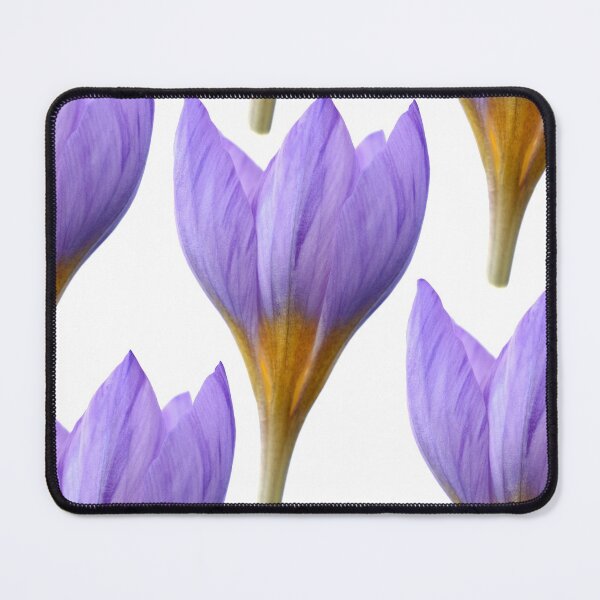 Item preview, Crocus rujanensis designed and sold by Chris Burrows.