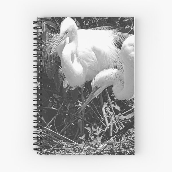 Item preview, Momma And Poppa Great Egrets Black And White designed and sold by LisaWootenPhoto.