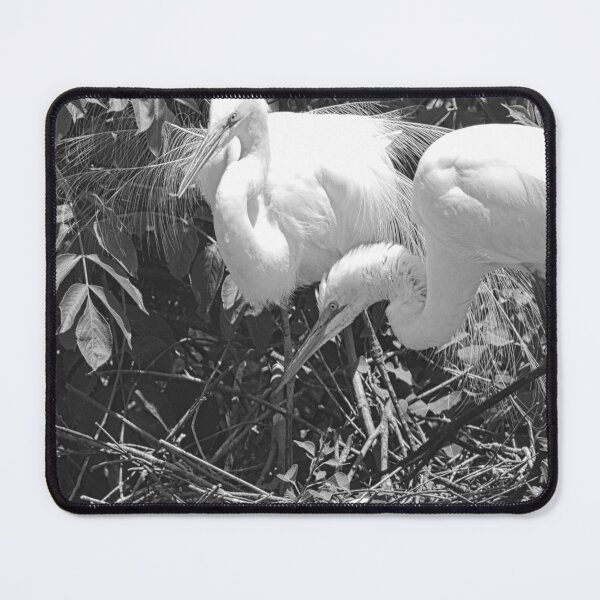 Item preview, Momma And Poppa Great Egrets Black And White designed and sold by LisaWootenPhoto.
