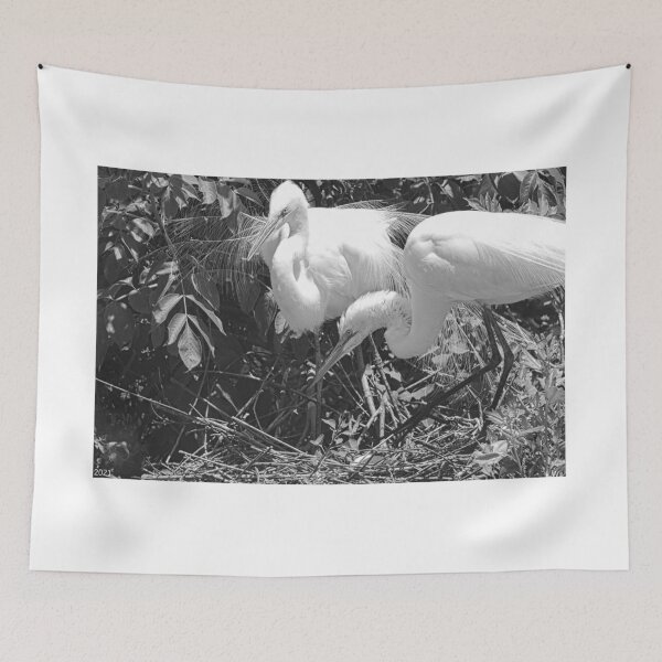 Item preview, Momma And Poppa Great Egrets Black And White designed and sold by LisaWootenPhoto.