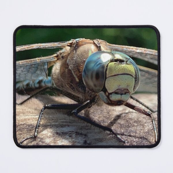 Item preview, Dragonfly designed and sold by Jcholach.