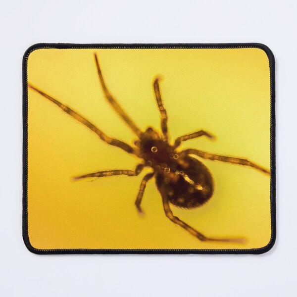 Item preview, spider 2 designed and sold by John Velocci.