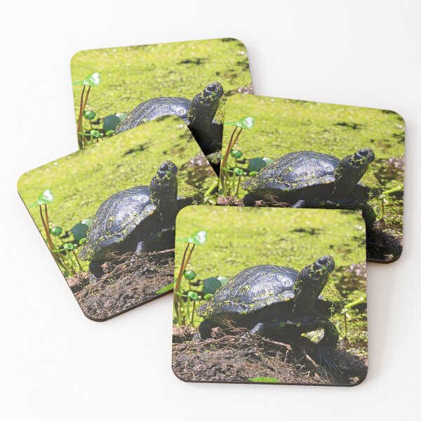 Item preview, Turtle Profile designed and sold by LisaWootenPhoto.