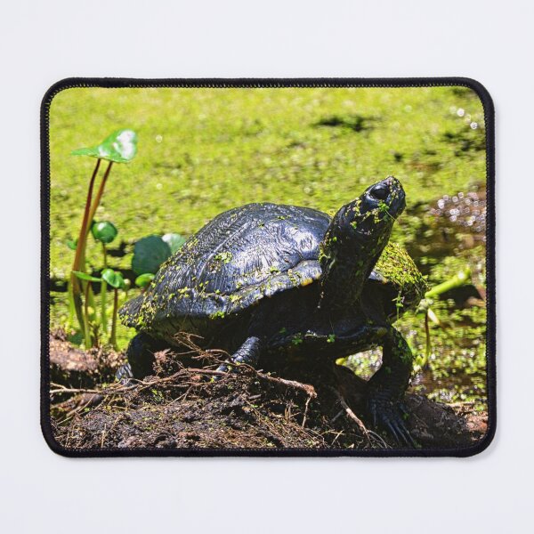 Item preview, Turtle Profile designed and sold by LisaWootenPhoto.