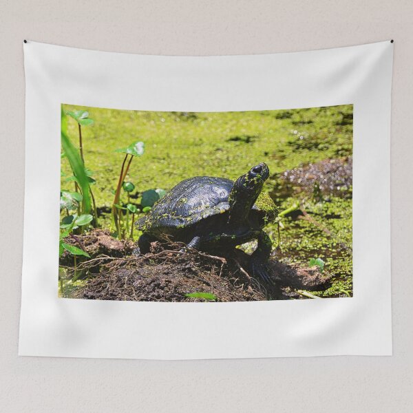 Item preview, Turtle Profile designed and sold by LisaWootenPhoto.