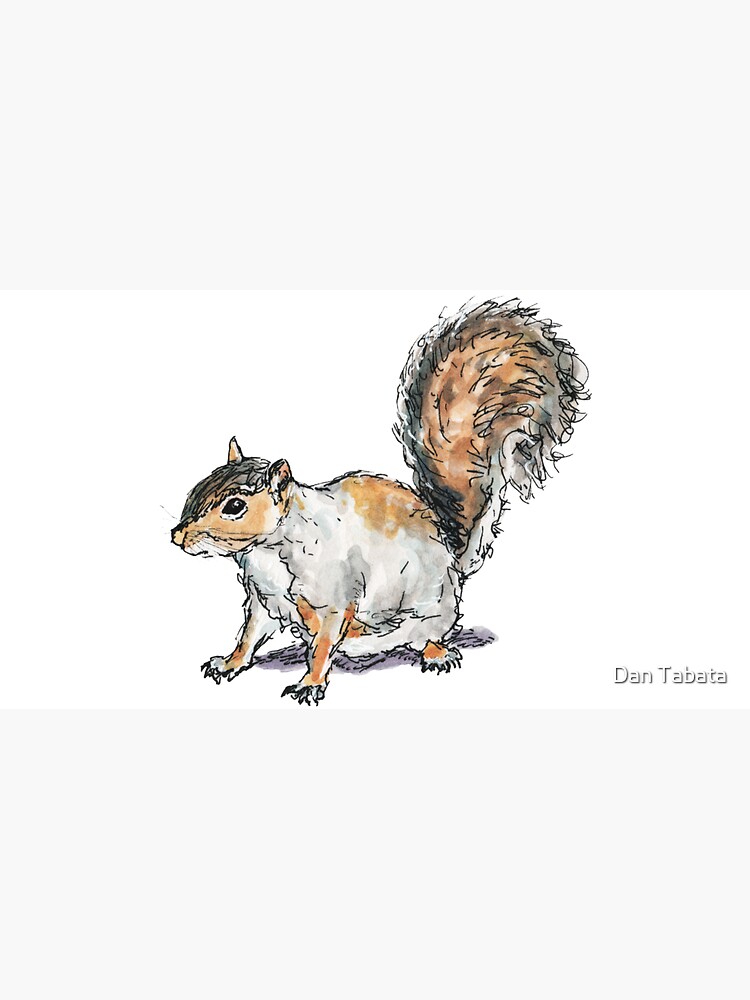 Ready, Set, Squirrel! by dmtab