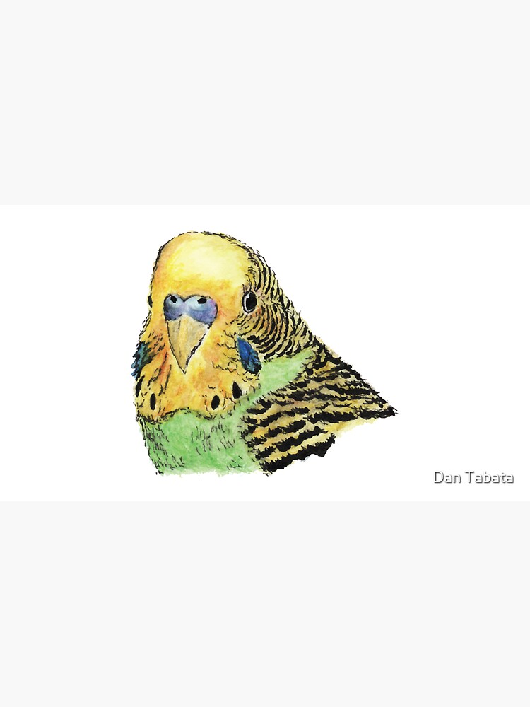 Prettyboy the Green Parakeet by dmtab