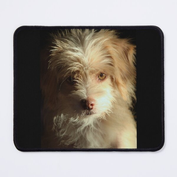 Item preview, Dog of a Thousand Faces designed and sold by chstudios.