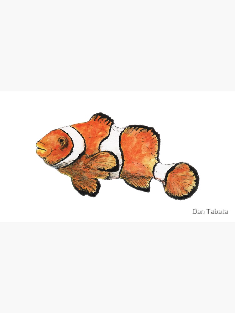 Clownfish by dmtab