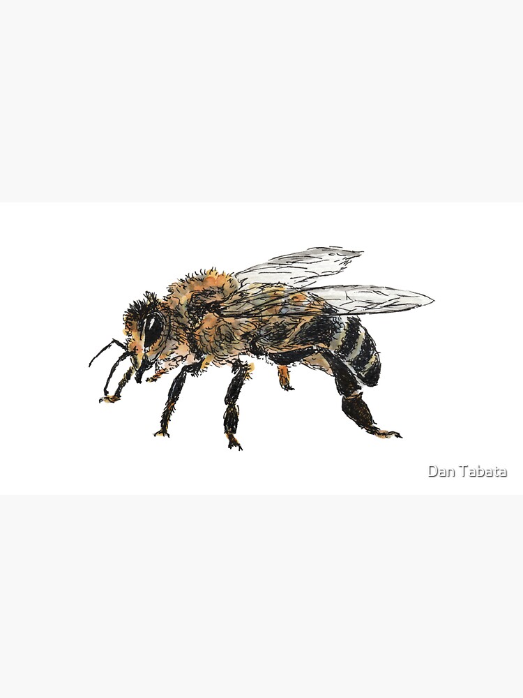 Honey Bee by dmtab
