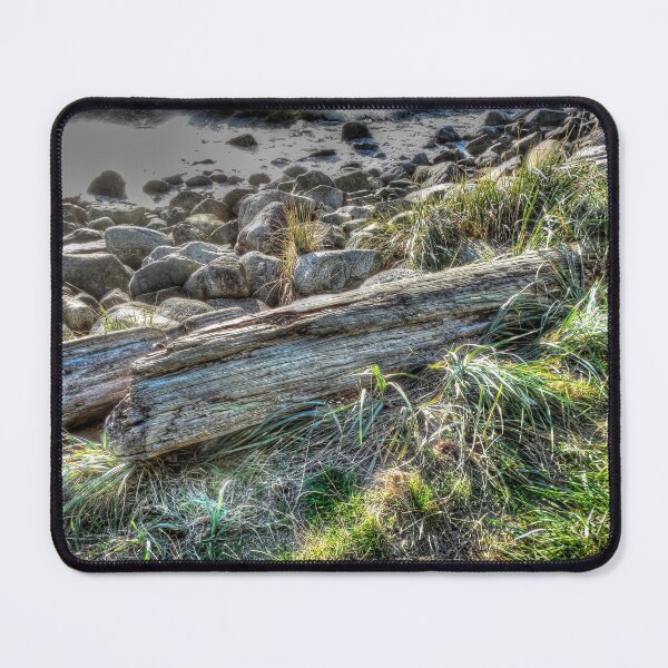 Item preview, The Life And Death Of A Log designed and sold by Finding Fortuity.