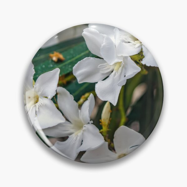 Item preview, White Nerium oleander flowers designed and sold by lena-maximova.