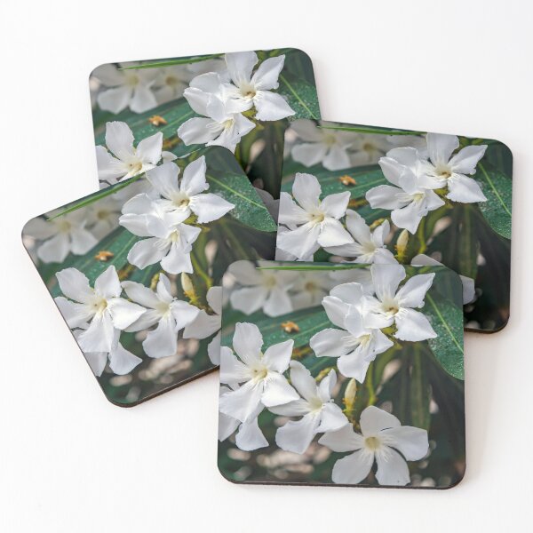 Item preview, White Nerium oleander flowers designed and sold by lena-maximova.