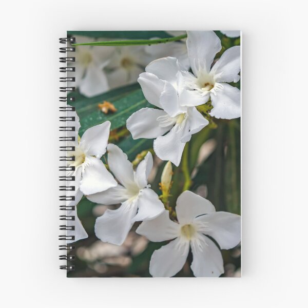 Item preview, White Nerium oleander flowers designed and sold by lena-maximova.
