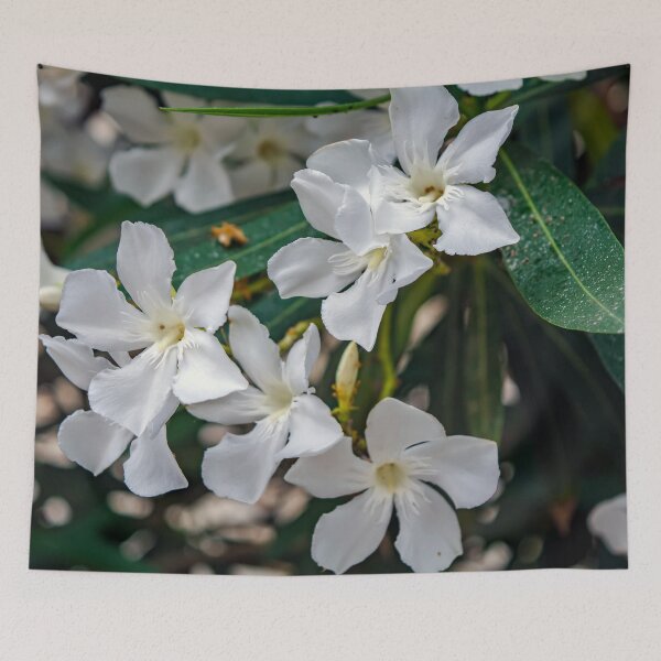 Item preview, White Nerium oleander flowers designed and sold by lena-maximova.