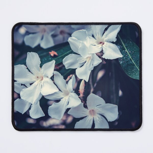 Item preview, White Nerium oleander flowers designed and sold by lena-maximova.