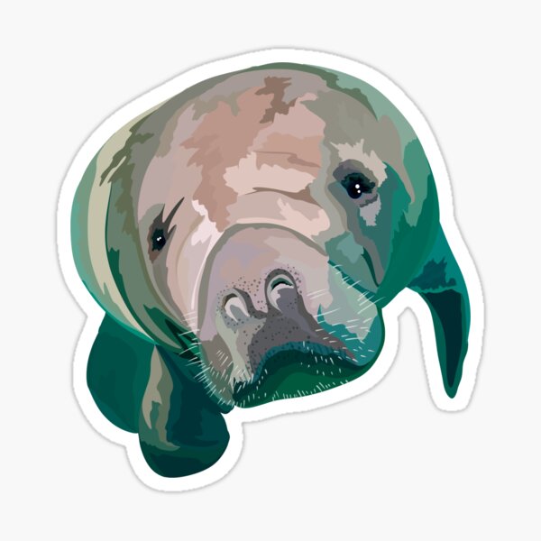M is for Manatee Sticker