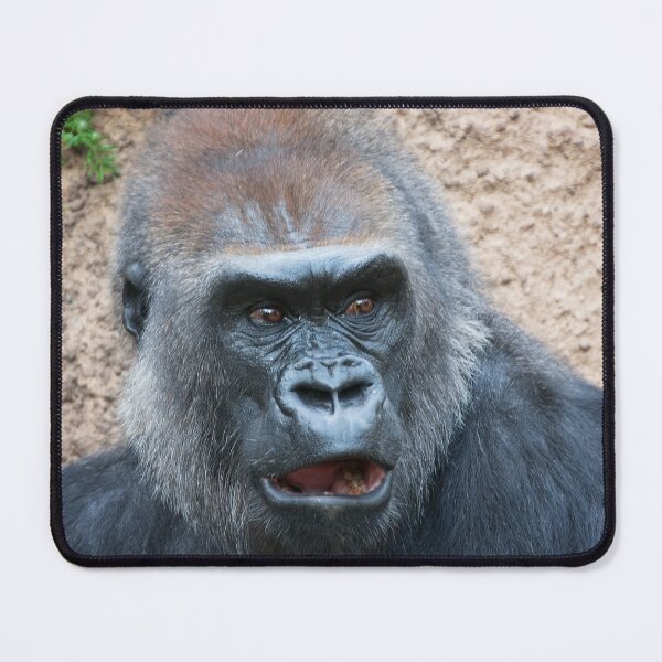 Item preview, Gorilla expression designed and sold by zzsuzsa.