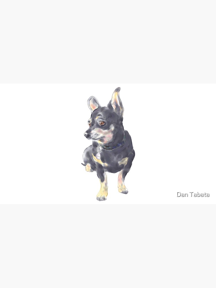 Little Dog Waiting by dmtab