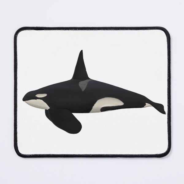 Item preview, California Killer Whale, CA20 | OCT02 | T132 designed and sold by Selena Rivera.