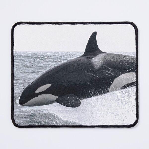 Item preview, California Killer Whale, Louise designed and sold by Selena Rivera.