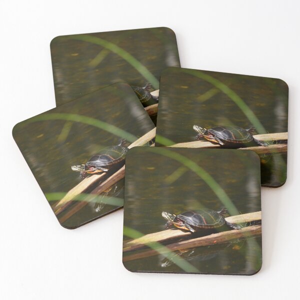 Item preview, Painted Turtle sun bathing designed and sold by enchantedvibes.