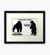 Harambe & Pedals Framed Print