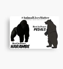 Harambe & Pedals Metal Print