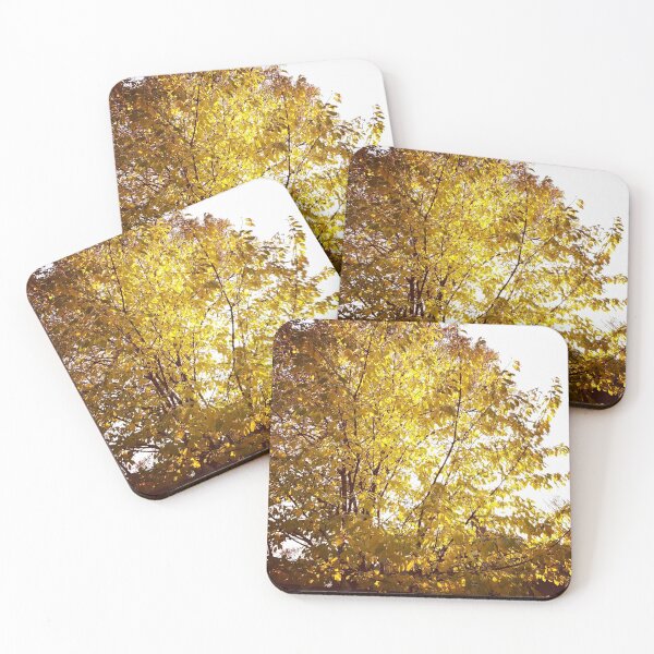 Item preview, Golden leaves in the sunshine  designed and sold by Hevanknows.