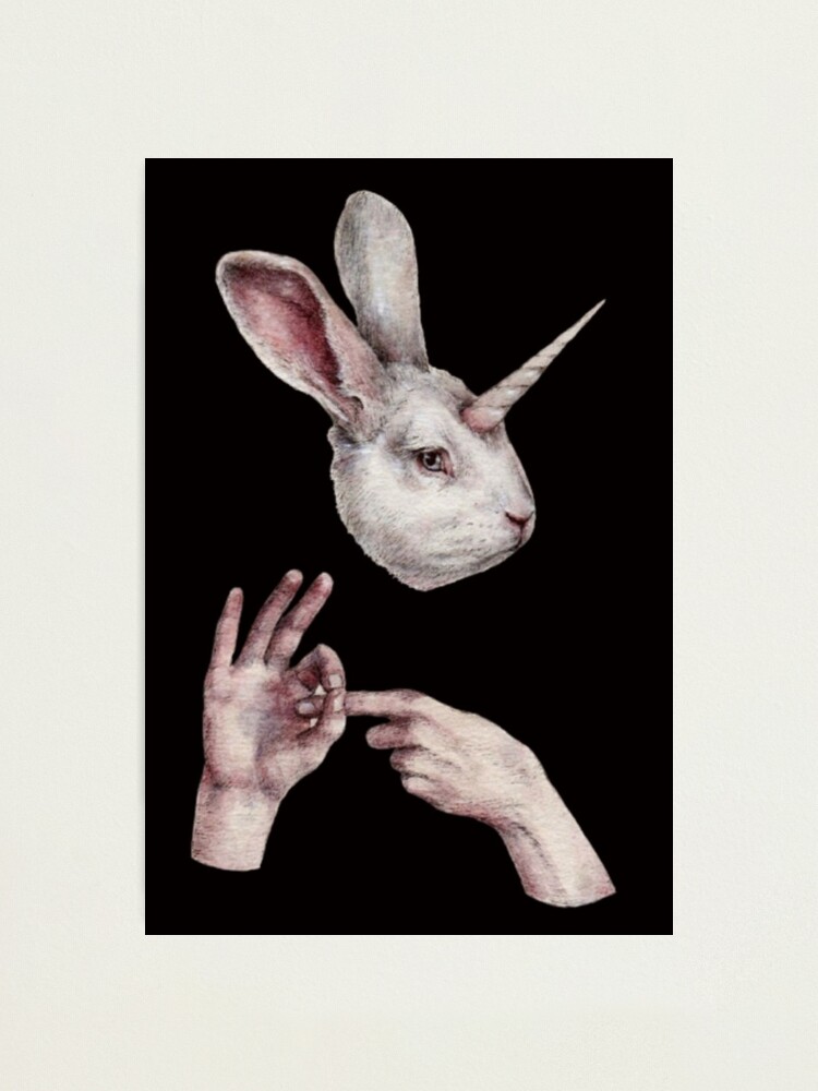 Unicorn Bunny with Hands Photographic Print for Sale by Jappa SKLAR