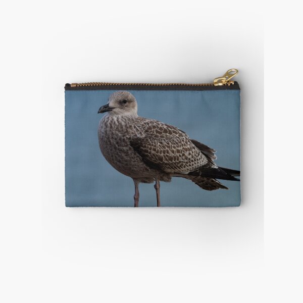 Item preview, Young Gull. designed and sold by GingerMan2550.