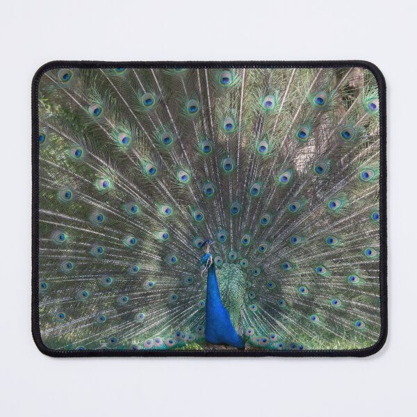 Item preview, Peacock designed and sold by Zina Stromberg.