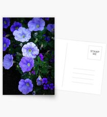 Blue Glory - Cheery Blue Blossoms Postcards