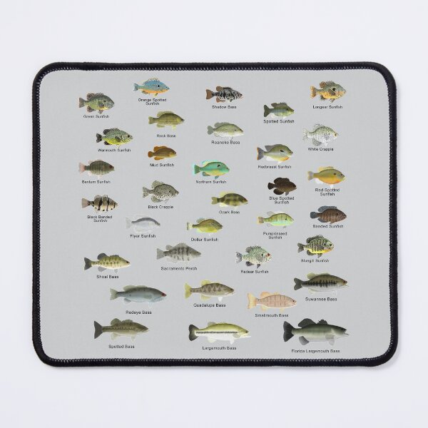 Item preview, Sunfish Family (Centrarchids) - Named designed and sold by fishfolkart.