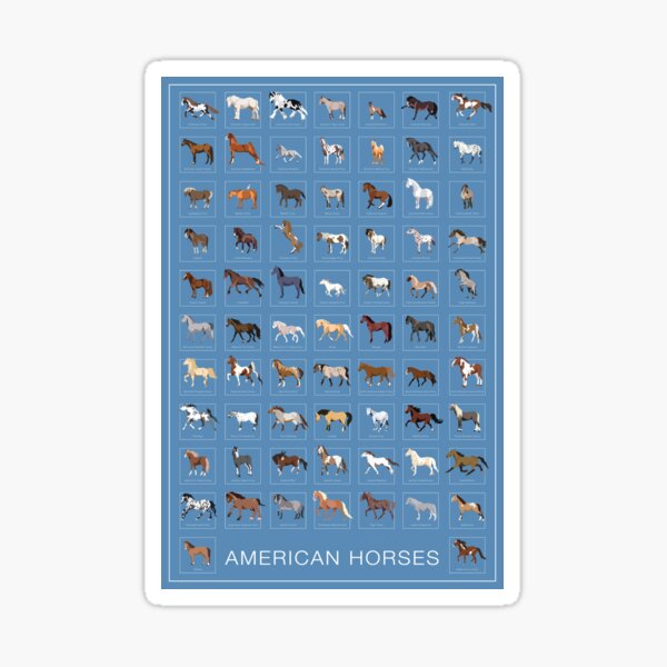 Aperçu de l'œuvre Affiche de races de chevaux américains créée et vendue par Colelynnk.