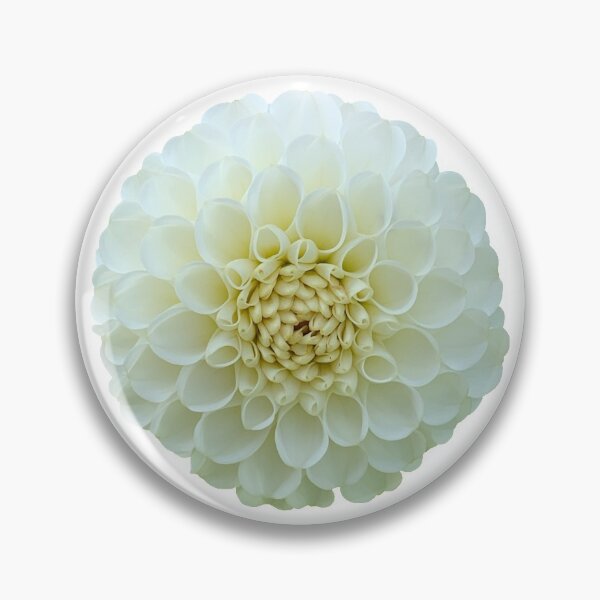 Item preview, White Dahlia Flower Still Life Floral Photography designed and sold by CottoVerdi.