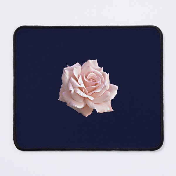 Item preview, A pink rose for people with a delicate sense designed and sold by alfaouzi.