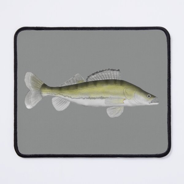 Item preview, Zander (Pike Perch) designed and sold by fishfolkart.