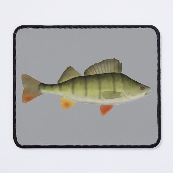 Item preview, European Perch designed and sold by fishfolkart.