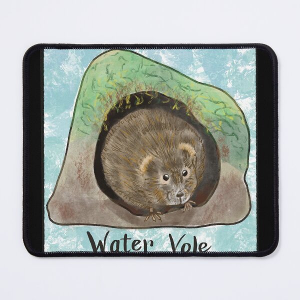 Item preview, Water vole designed and sold by Celeste Bocchicchio-Chaudhri.