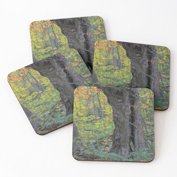 Item preview, White Top Forest designed and sold by chstudios.