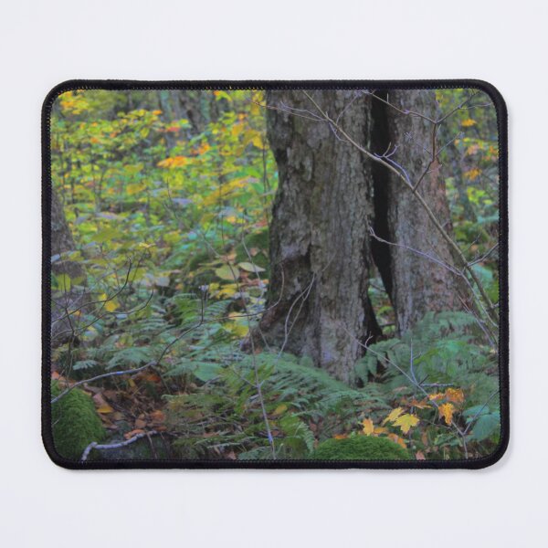 Item preview, White Top Forest designed and sold by chstudios.