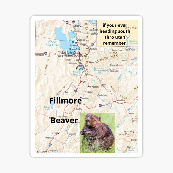 "Fillmore Beaver" Sticker for Sale by WeWINS Redbubble