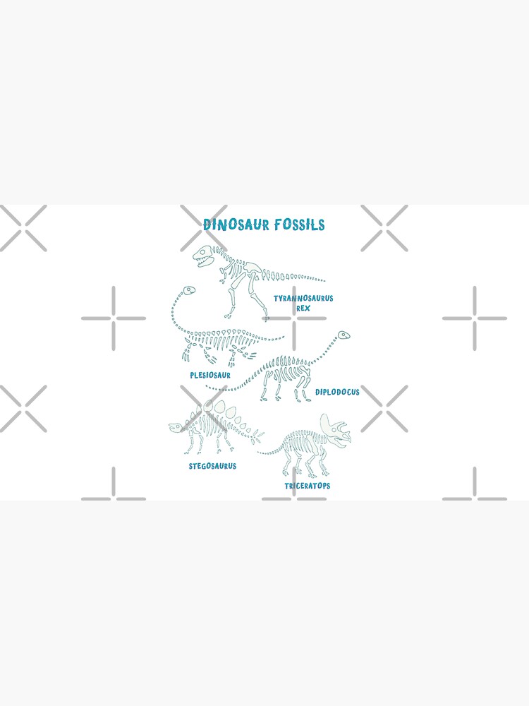 Dinosaur Fossils - aqua on white - Fun graphic pattern by Cecca Designs by Cecca-Designs